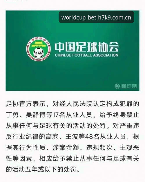 H7K9苹果下载 中国足协第三批禁足名单详解:行业整顿背后的深层逻辑